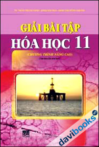 Hướng Dẫn Giải Bài Tập Hoá Học 11 (Chương Trình Nâng Cao)