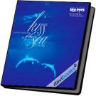 Kiss Of The Sea Nụ Hôn Của Biển