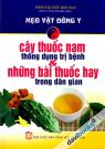 Cây Thuốc Nam Thông Dụng Trị Bệnh Và Những Bài Thuốc Hay Trong Dân Gian