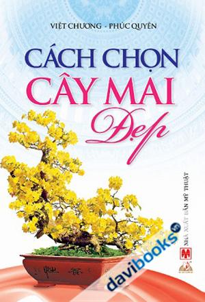 Cách Chọn Cây Mai Đẹp