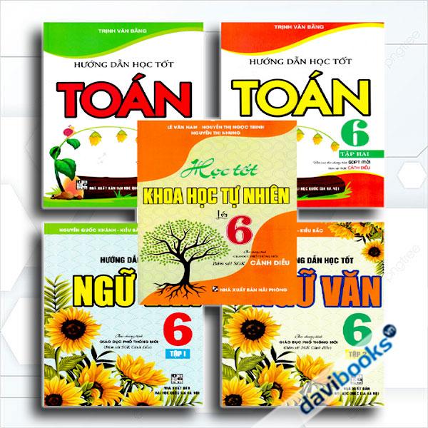 Combo Bộ Sách Tham Khảo Toán - Văn - Khoa Học Tự Nhiên Lớp 6 (Bám Sát SGK Cánh Diều, Bộ 5 Cuốn)