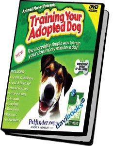 Training Your Adopted Dog Video Hướng Dẫn Cách Huấn Luyện Chó Nuôi