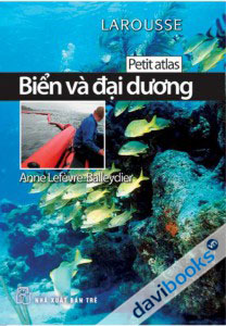 Biển Và Đại Dương