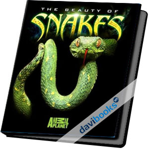 Beauty of Snake - Vẻ Đẹp Của Loài Rắn