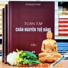 Toàn Tập Chân Nguyên Tuệ Đăng - Lê Mạnh Thát (Bộ 3 Tập)