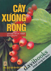 Cây Xương Rồng