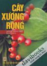 Cây Xương Rồng