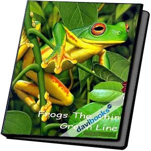 Frogs The Thin Green Line Ranh Giới Xanh Mong Manh