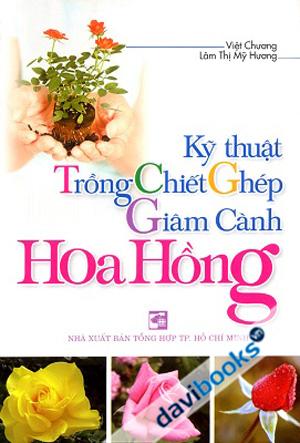Kỹ Thuật Trồng Chiết Ghép Giâm Cành Hoa Hồng
