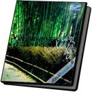 Đường Xưa Lối Cũ