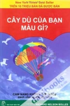 Cây Dù Của Bạn Màu Gì Cẩm Nang Không Thể Thiếu Dành Cho Người Săn Việc