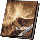 Hòa Tấu Những Tình Khúc Bất Tử Vol.1 Mắt Biếc