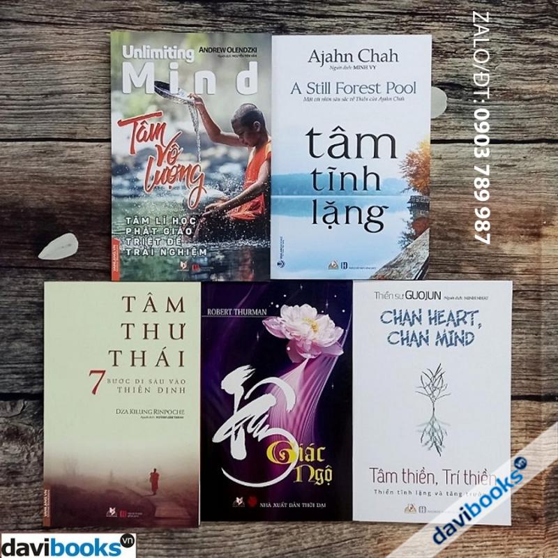 Bộ [Tâm Thiền Trí Thiền]: Tâm Thiền, Trí Thiền + Tâm Thư Thái - 7 Bước Đi Sâu Vào Thiền Định + Tâm Tĩnh Lặng + Tâm Vô Lượng - Tâm Lý Học Phật Giáo Triệt Để Trải Nghiệm + Tâm Giác Ngộ (6 Cuốn)