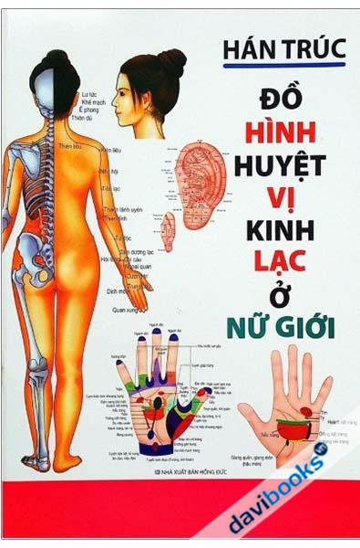 Đồ Hình Huyệt Vị Kinh Lạc Ở Nữ Giới