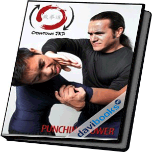 Secrets of Punching Power