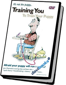 Training You to Train Your Puppy - Video Hướng Dẫn Bạn Cách Chăm Sóc Và Huấn Luyện Chó