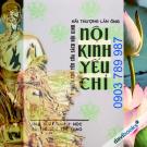 [Sách Ảnh Ấn] Nội Kinh Yếu Chỉ - Hải Thượng Lãn Ông