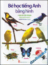 Bé Học Tiếng Anh Bằng Hình - Chim Và Côn Trùng
