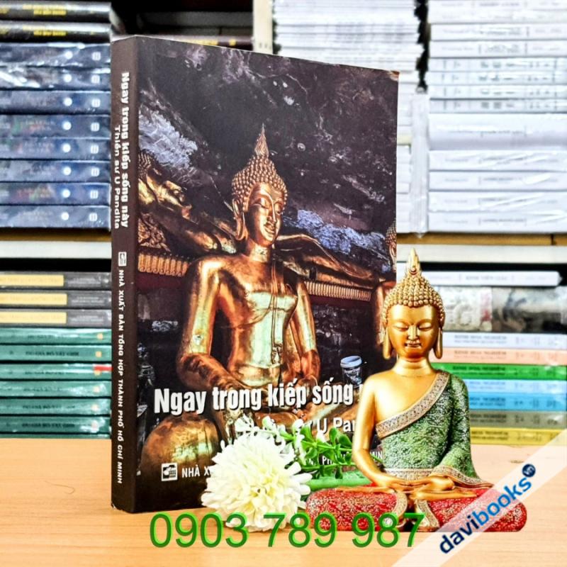 [Theravada] Ngay Trong Kiếp Sống Này - U Pandita