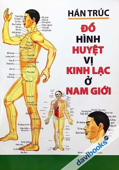 Đồ Hình Huyệt Vị Kinh Lạc Ở Nam Giới