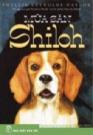 Mùa Săn Shiloh