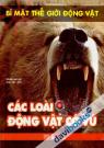 Bí Mật Thế Giới Động Vật Các Loài Động Vật Có Vú