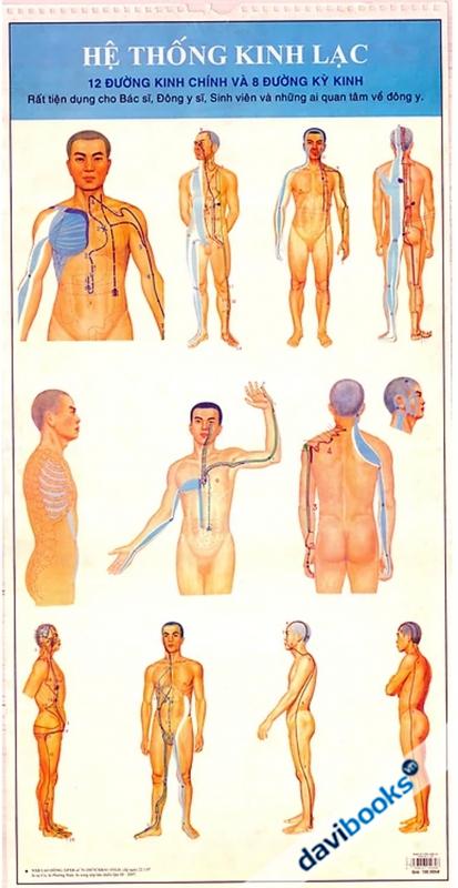 Hệ Thống Kinh Lạc