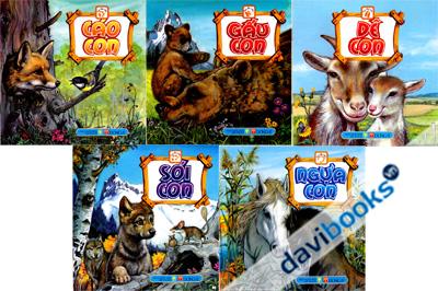 Bộ Truyện Theo Dấu Chân (Bộ 5 Cuốn)