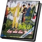 Trồng Cây Lại Nhớ Đến Người