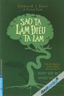 Sao Ta Làm Điều Ta Làm