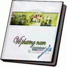 Hòa tấu Nguyễn Nhất Huy Về Phương Nam