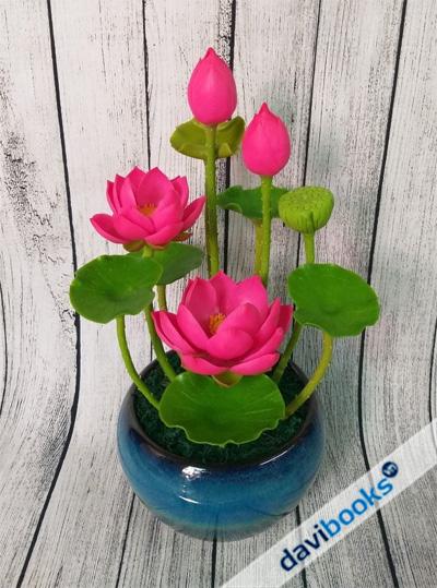 (ad11525) Chậu Hoa Sen Lớn 2 Bông