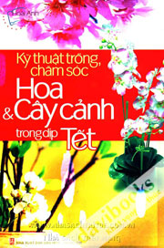 Kỹ Thuật Trồng, Chăm Sóc Hoa Và Cây Cảnh Trong Dịp Tết