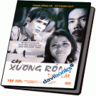 Cây Xương Rồng Trên Cát