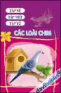 Tập vẽ tập viết tập tô - Các loài chim