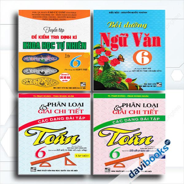 Combo Phân Loại Và Giải Chi Tiết Các Dạng Bài Tập Toán 6 + Tuyển Tập Đề Kiểm Tra Định Kì Khoa Học Tự Nhiên Lớp 6 + Bồi Dưỡng Ngữ Văn 6 (Bám Sát SGK Kết Nối Tri Thức Với Cuộc Sống, Bộ 4 Cuốn)