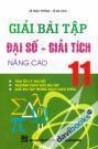 Giải Bài Tập Đại Số Giải Tích Nâng Cao 11