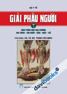 Giải Phẫu Người Tập 1 Giải Phẫu Học Đại Cương Chi Trên Chi Dưới Đầu Mặt Cổ Dùng Cho Bác Sỹ Và Học Viên Sau Đại Học