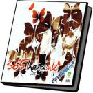 Ngọc Khuê 365 Hà Nội NK