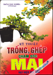 Kỹ Thuật Trồng Ghép Chăm Sóc Mai Đạt Hiệu Quả Cao