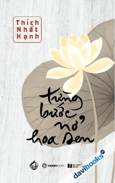 Từng Bước Nở Hoa Sen