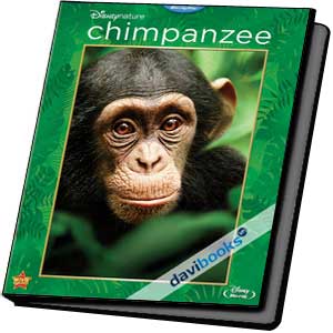 Tinh Tinh Chimpanzee