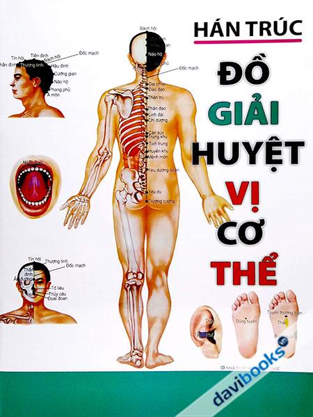 Đồ Giải Huyệt Vị Cơ Thể