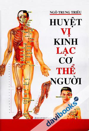 Huyệt Vị Kinh Lạc Cơ Thể Người