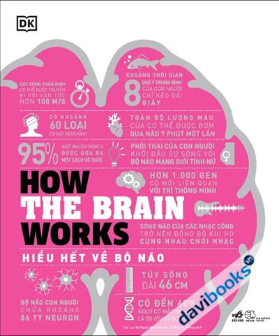 How The Brain Works - Hiểu Hết Về Bộ Não