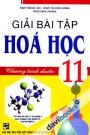 Giải Bài Tập Hóa Học 11 Chương Trình Chuẩn