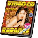 Chiếc Lá Mùa Đông (Vol. 5 - Disc 1) - Karaoke