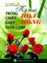 Kỹ Thuật Trồng - Chiết - Ghép - Giâm Cành Hoa Hồng