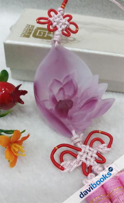 (ad11048) Treo Xe Lưu Ly 221 1
