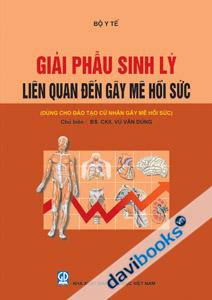 Giải Phẫu Sinh Lý Liên Quan Đến Gây Mê Hồi Sức Dùng Cho Đào Tạo Cử Nhân Điều Dưỡng